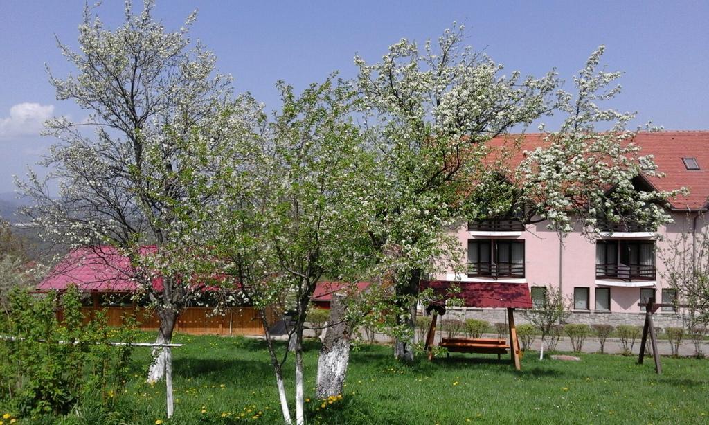 Hotel Sofia Бран Екстериор снимка