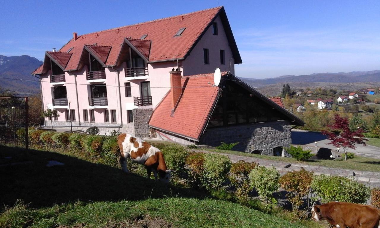 Hotel Sofia Бран Екстериор снимка